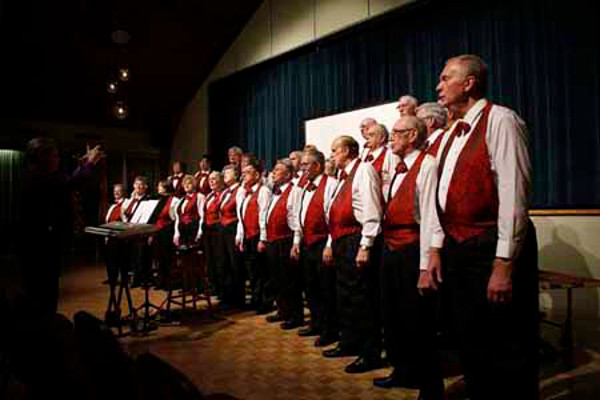 Our Performances Our Performances